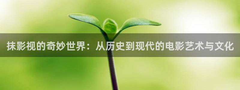 噜噜影院在线观看：抹影视的奇妙世界：从历史到现代的电影艺术与文化